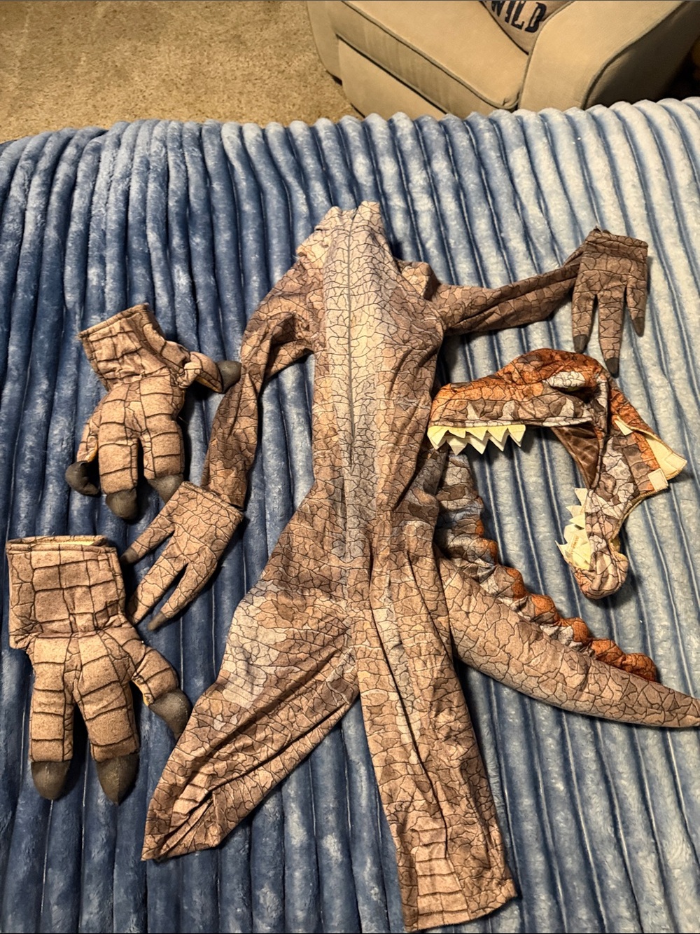 Brown Spinosaurus Costume for Kids